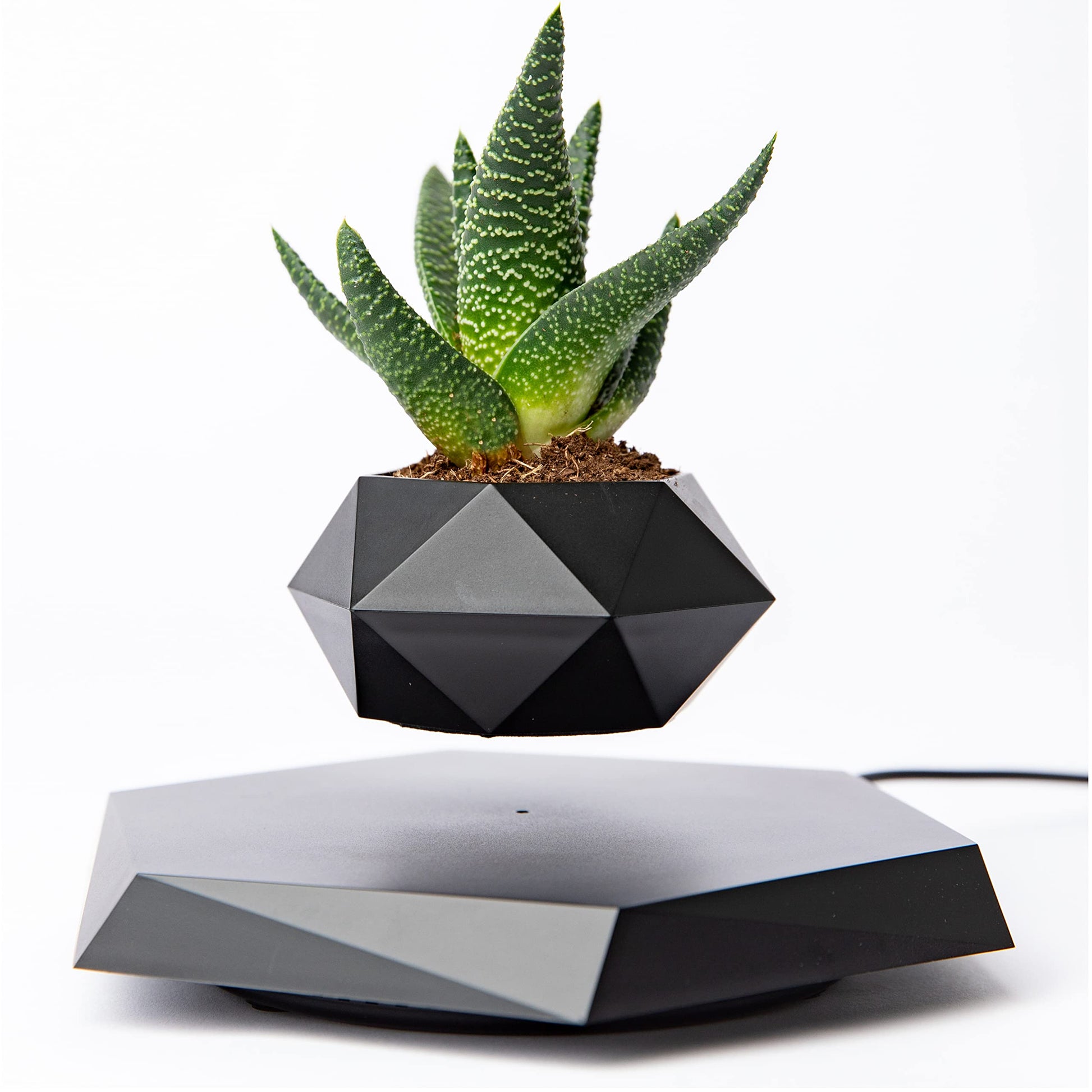 BandD Floating Plant Pot - Levitating Planter for Succulents, Air Bonsai & Plants. Magnetic Display for Home, Office & Desk Decor