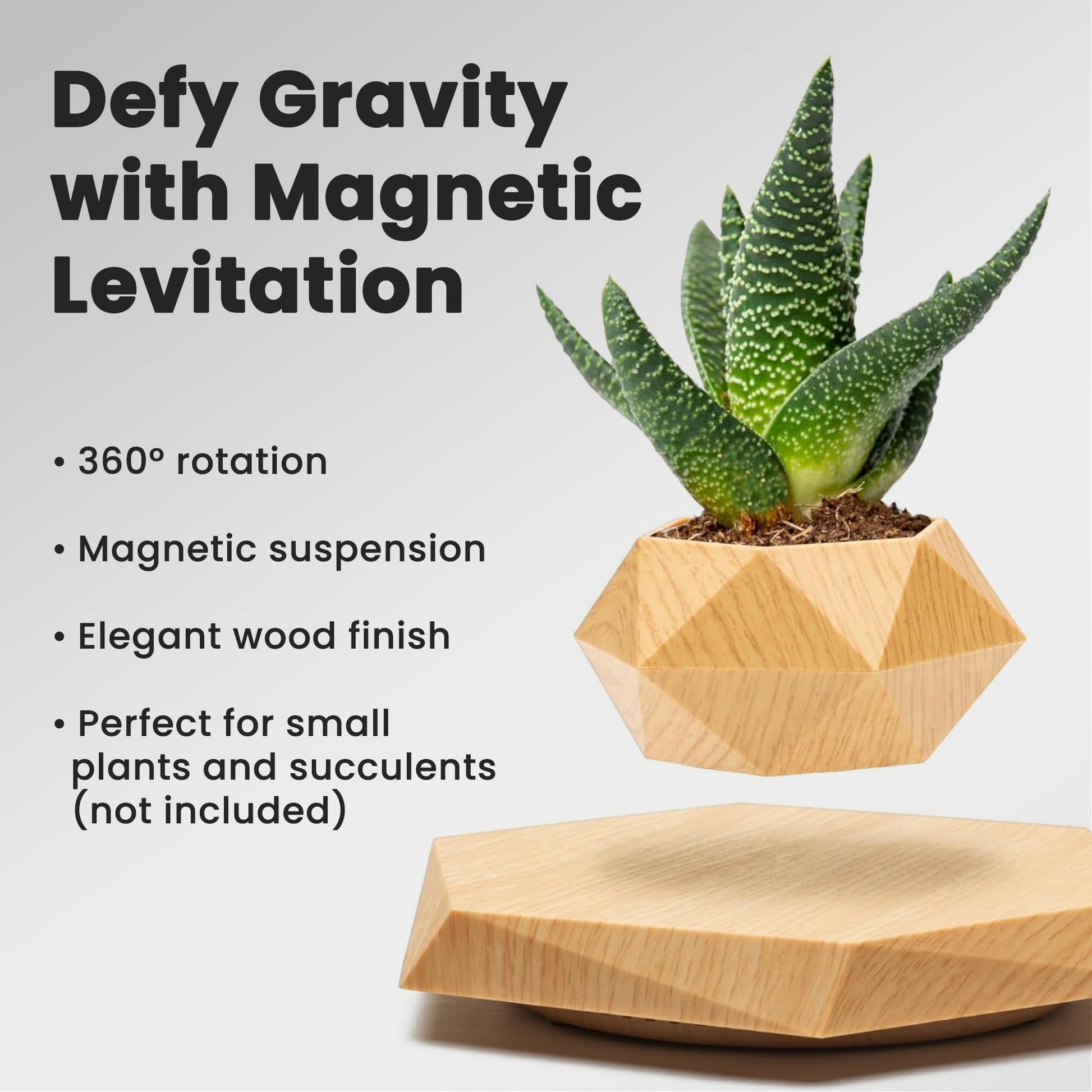 BandDlevs Floating Pots for Plants - Levitating Pot - Levitating Planter for Bonsai, Succulents, Air Plants - Floating Magnetic Display for Home Office Desks - Magnetic Levitation Plant Holder (Wood)