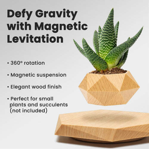 BandDlevs Floating Pots for Plants - Levitating Pot - Levitating Planter for Bonsai, Succulents, Air Plants - Floating Magnetic Display for Home Office Desks - Magnetic Levitation Plant Holder (Wood)