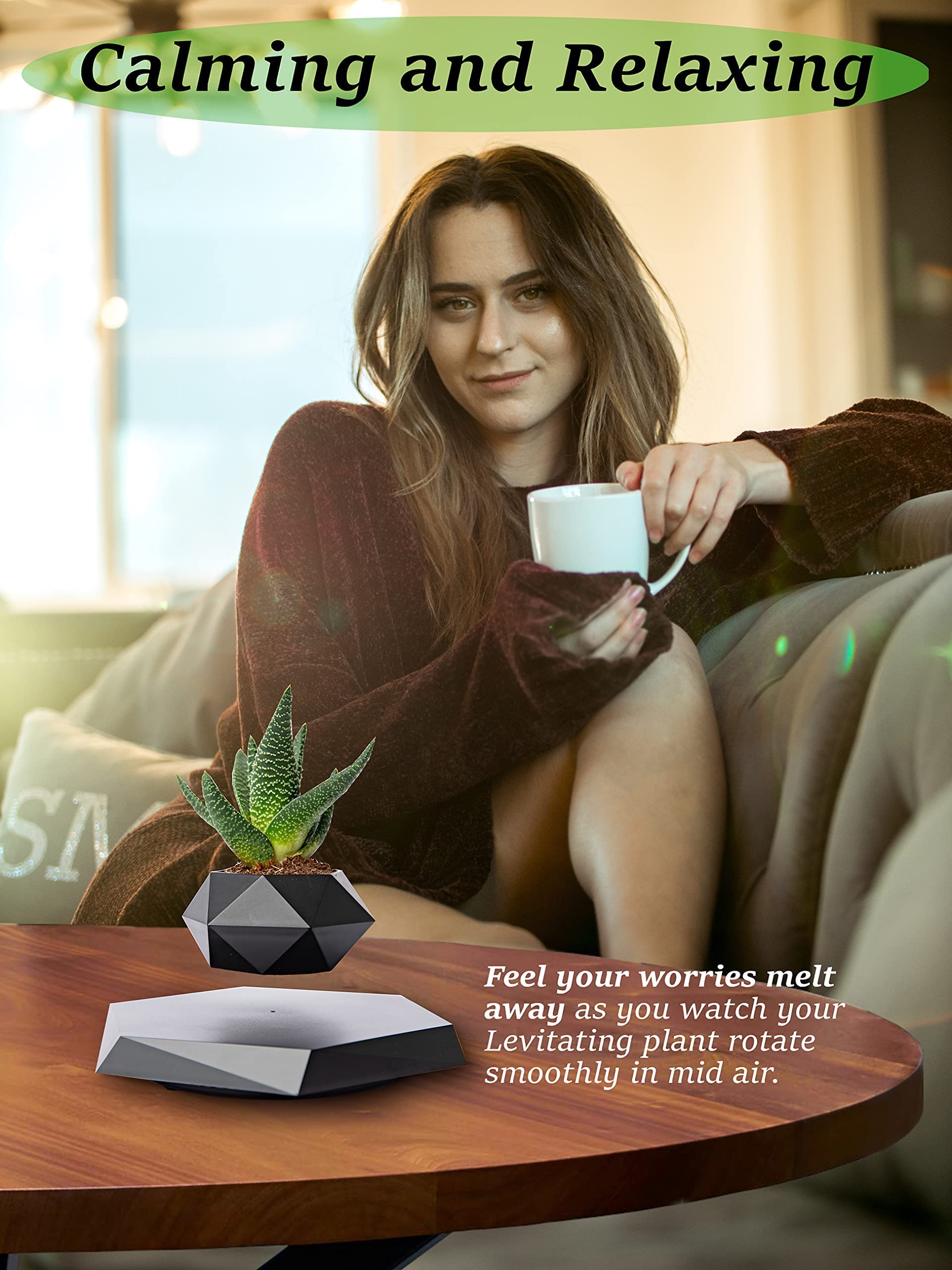 BandD Floating Plant Pot - Levitating Planter for Succulents, Air Bonsai & Plants. Magnetic Display for Home, Office & Desk Decor