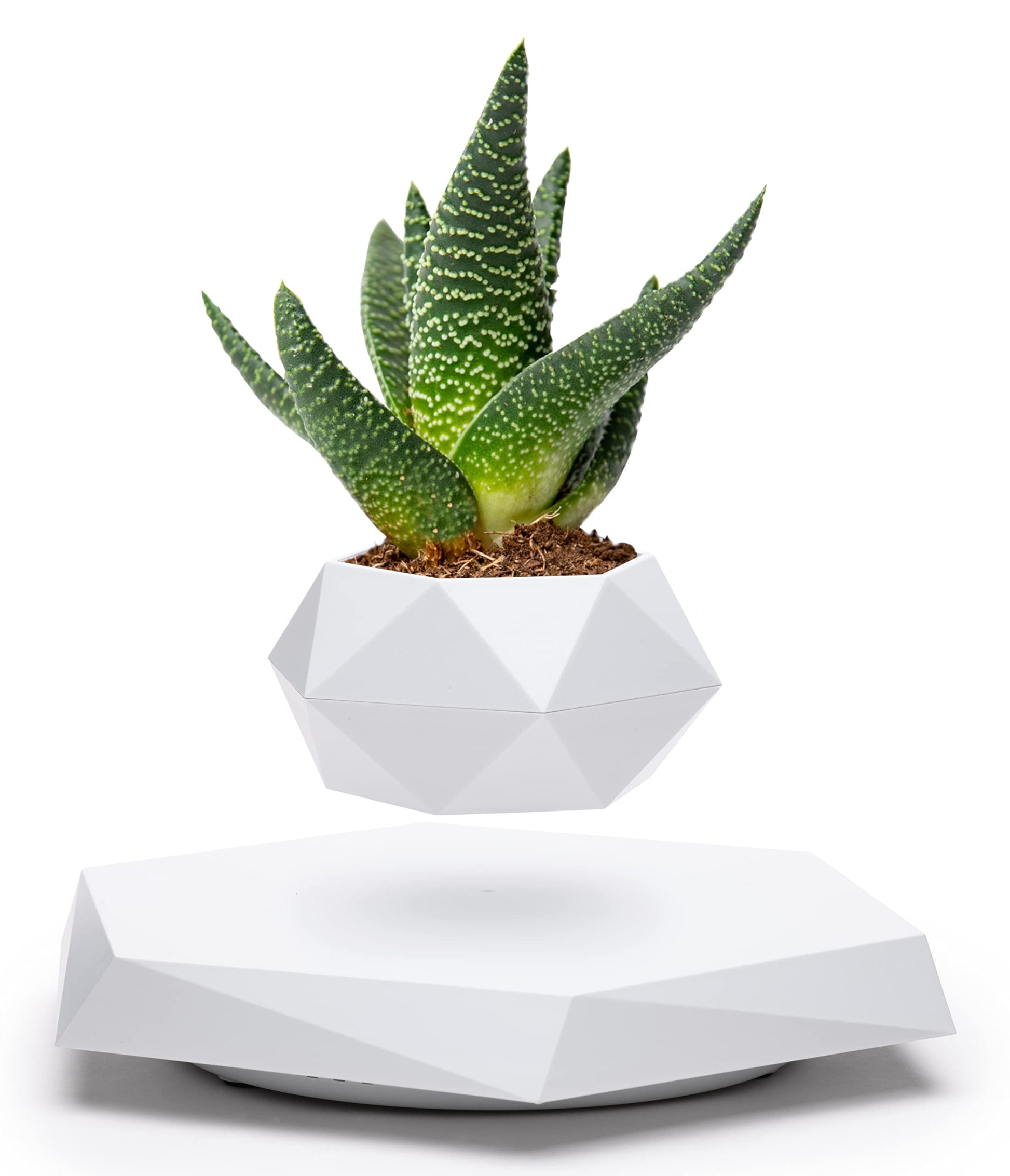 BandDlevs Floating Pots for Plants - Levitating Pot - Levitating Planter for Bonsai, Succulents, Air Plants - Floating Magnetic Display for Home Office Desks - Magnetic Levitation Plant Holder (White)