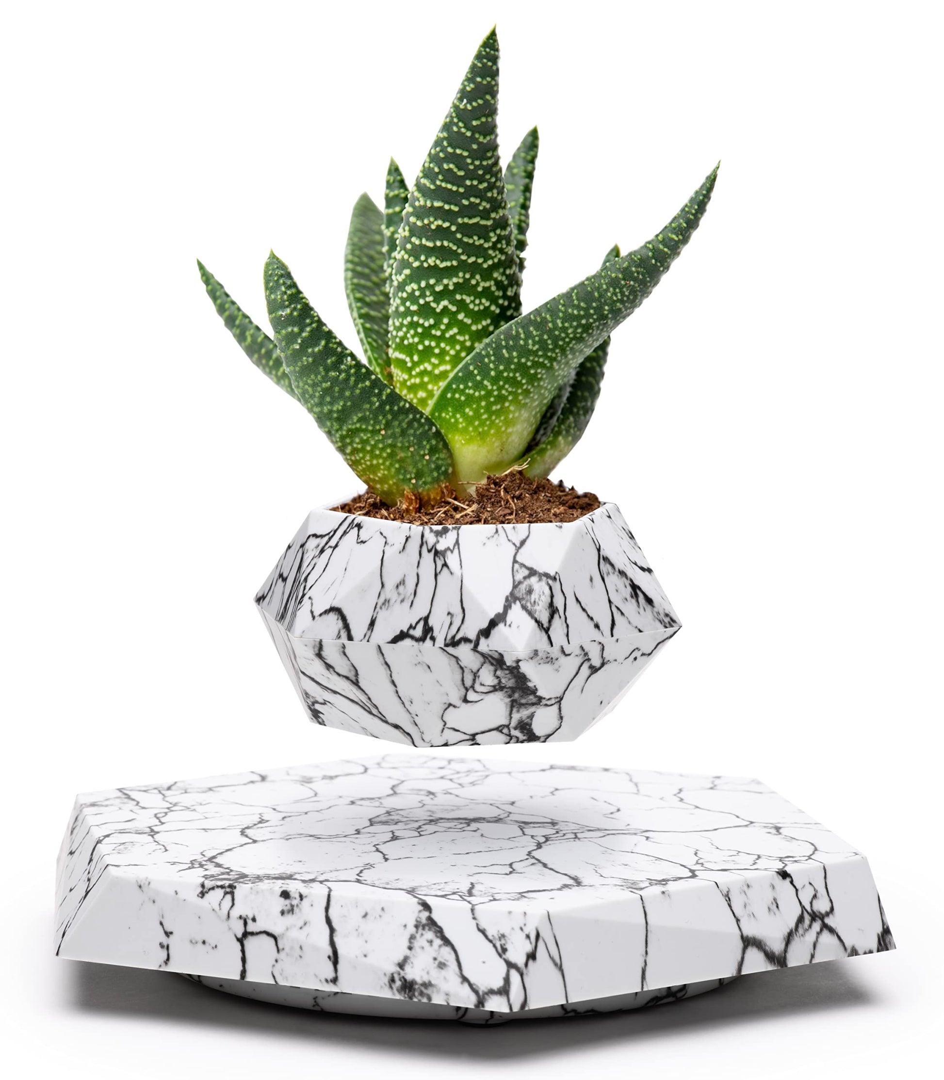 BandD Schwimmender Blumentopf - Schwebender Pflanztopf fr Sukkulenten, Luftbonsai & Luftpflanzen. Schwimmender Pflanzkbel fr Zuhause, Bro & Schreibtisch schwebende Dekoration Magnetisches