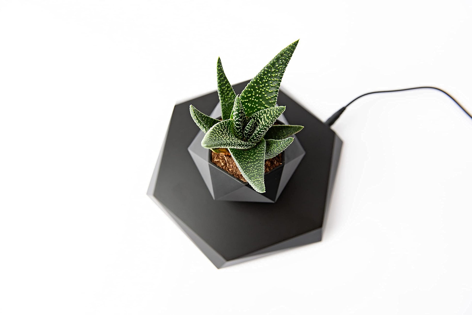 BandD Floating Plant Pot - Levitating Planter for Succulents, Air Bonsai & Plants. Magnetic Display for Home, Office & Desk Decor